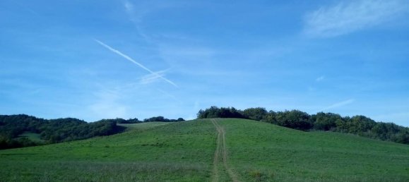 Studio in Chianni, Italy No. 1514 6