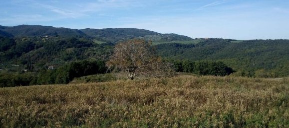 Studio in Chianni, Italy No. 1514 7