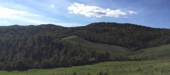 Studio in Chianni, Italy No. 1514 9