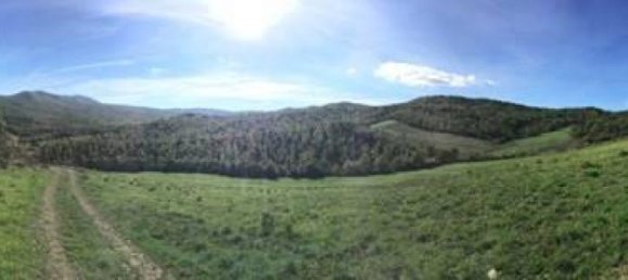 Studio in Chianni, Italy No. 1514 4