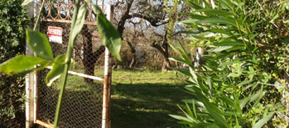 Terrain à Fara in Sabina, Italy 4666m² No. 307733 2