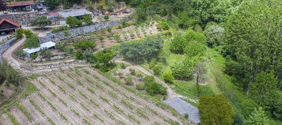 3 Schlafzimmer Haus in Felgueiras, Portugal, Nr. 34961 41