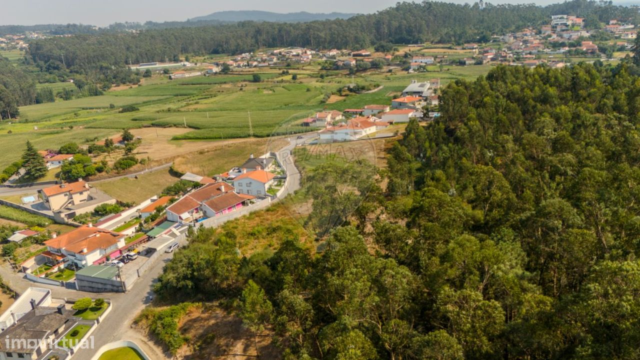 14200m² Land in Pereira, Portugal No. 295964