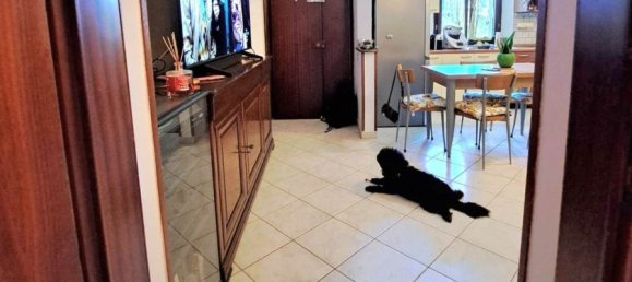 Apartamento de 2 dormitorios en Gavorrano, Italy No. 343249 7