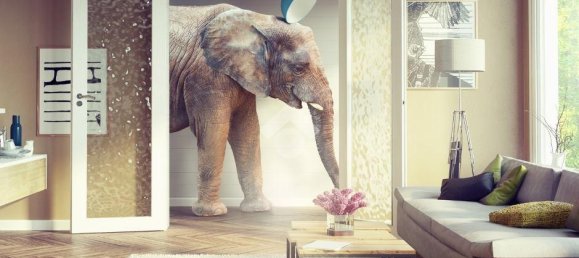 1-salle Garage à Bari, Italy No. 7416 7