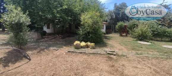 6 rooms Villa in Canale Monterano, Italy No. 134812 18