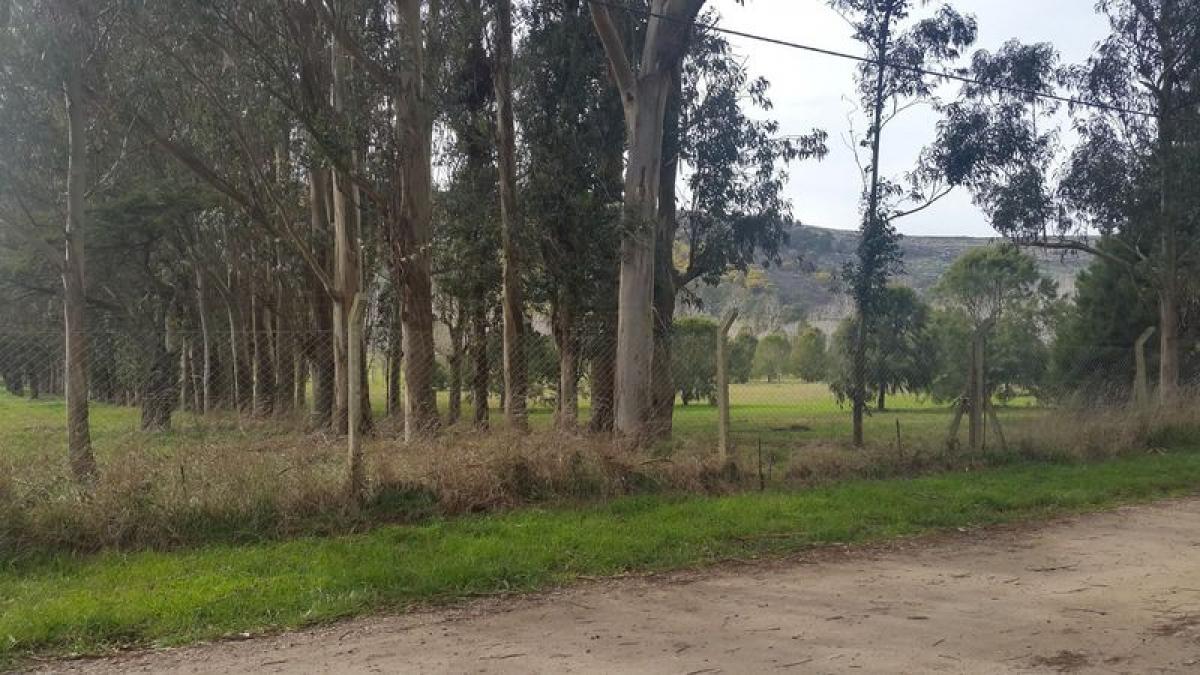  Land in Mar del Plata, Argentina No. 112288