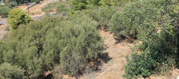  فندق في Chania, Greece 2155متر مربع رقم 7605 8