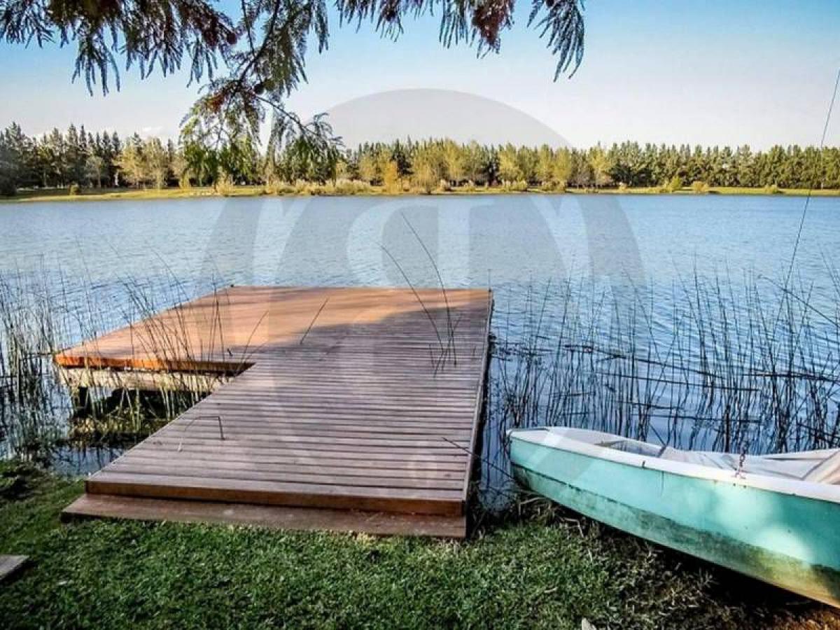 4 bedrooms House in Tigre, Argentina No. 87296