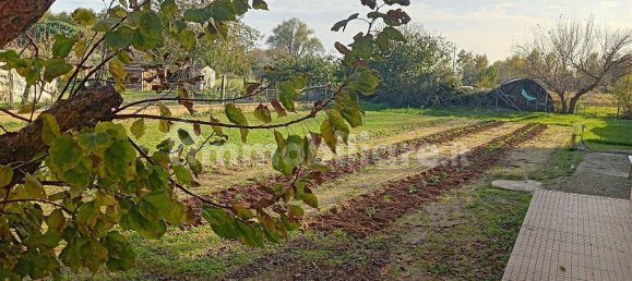 6 bedrooms Villa in Tuoro sul Trasimeno, Italy No. 122850 13