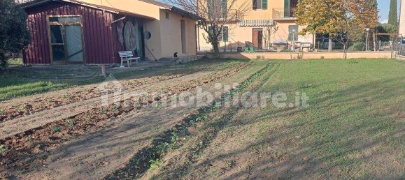 6 bedrooms Villa in Tuoro sul Trasimeno, Italy No. 122850 9