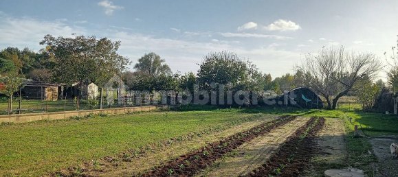 6 bedrooms Villa in Tuoro sul Trasimeno, Italy No. 122850 11