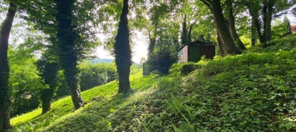 1090m² Land in Eichgraben, Austria No. 16050 9