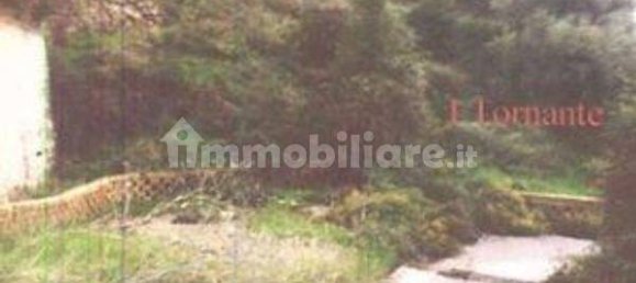 Villa de 25 dormitorios en Capo d'Orlando, Italy No. 38255 9