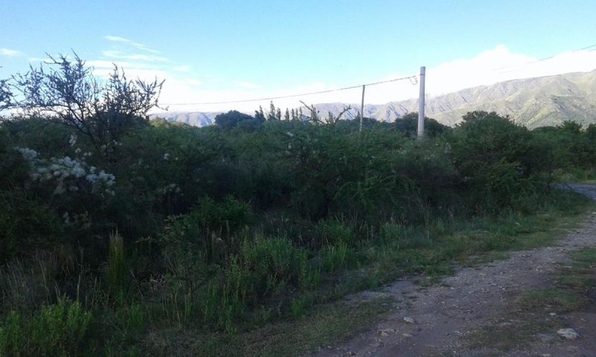 Grundstück in San Luis, Argentina, Nr. 46973