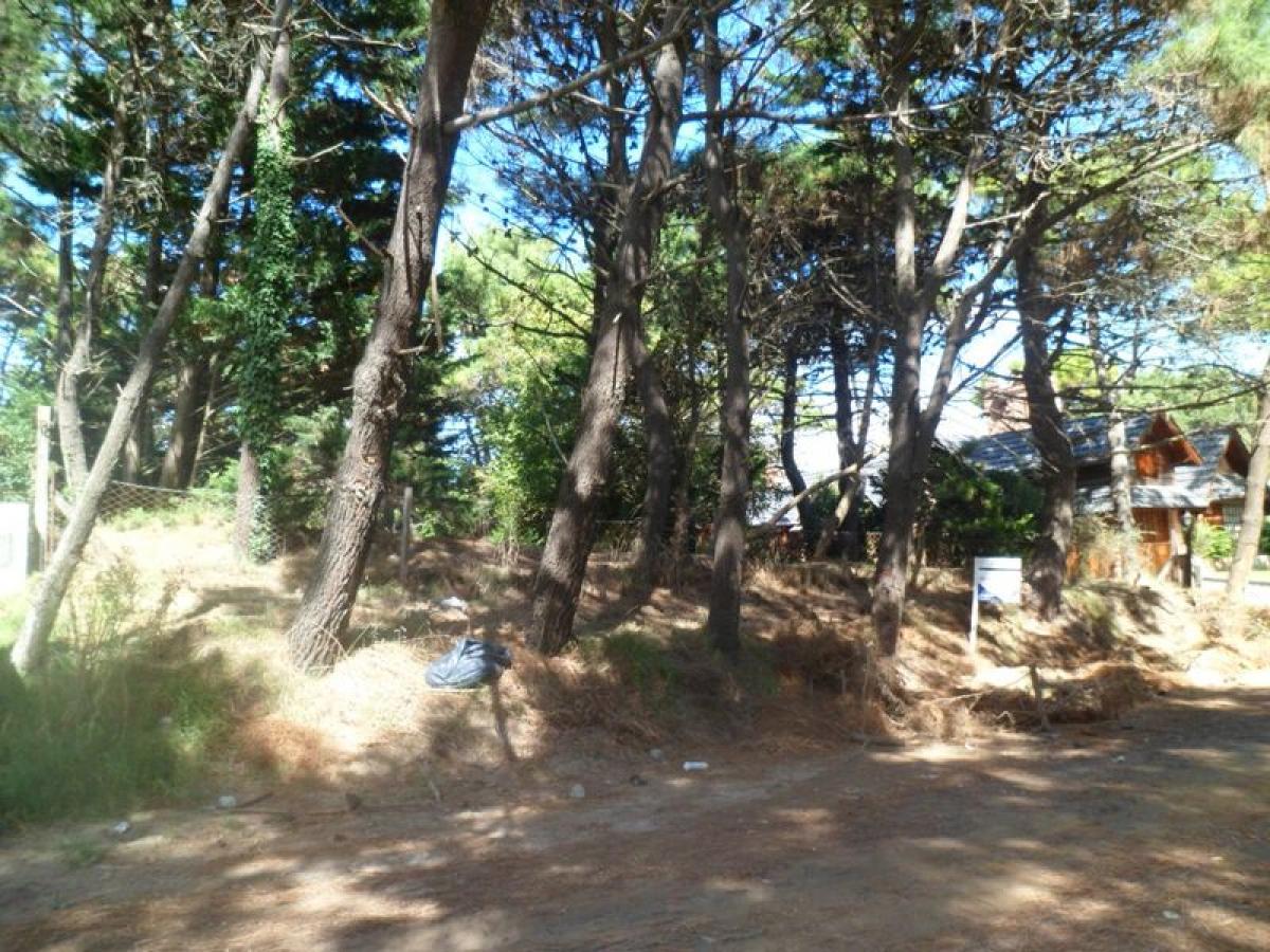 Terreno en Mar del Plata, Argentina No. 117295