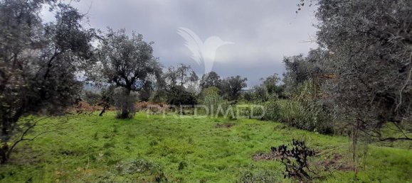 Terreno en Covilha, Portugal 6888 m² No. 90670 5