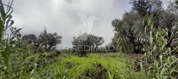 Terreno en Covilha, Portugal 6888 m² No. 90670 7