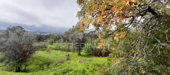 Terreno en Covilha, Portugal 6888 m² No. 90670 2