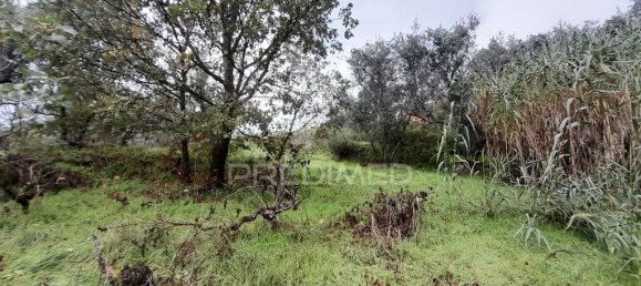 Terreno en Covilha, Portugal 6888 m² No. 90670 6