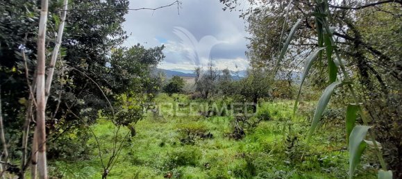 Terreno en Covilha, Portugal 6888 m² No. 90670 11