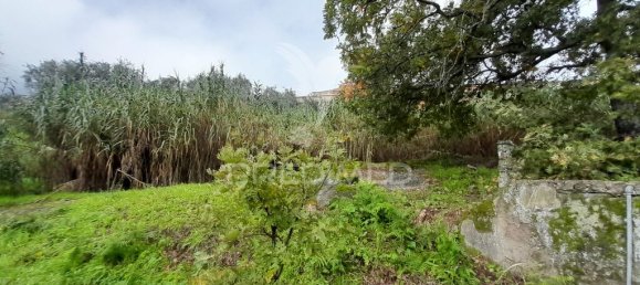 Terreno en Covilha, Portugal 6888 m² No. 90670 4