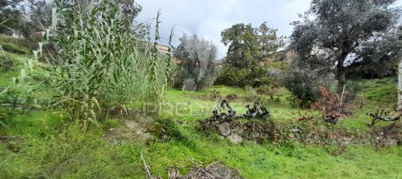 Terreno en Covilha, Portugal 6888 m² No. 90670 9