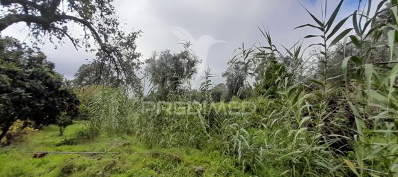 Terreno en Covilha, Portugal 6888 m² No. 90670 8