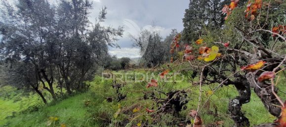 Terreno en Covilha, Portugal 6888 m² No. 90670 14