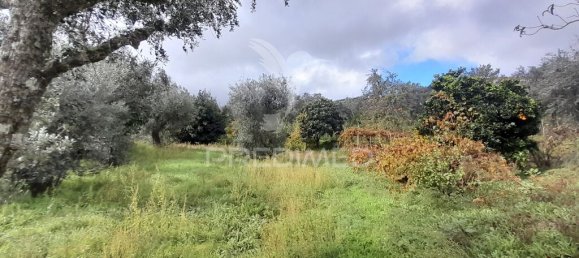 Terreno en Covilha, Portugal 6888 m² No. 90670 19