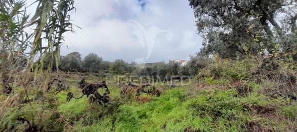 Terreno en Covilha, Portugal 6888 m² No. 90670 10