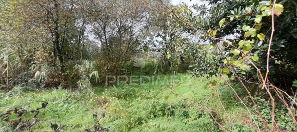 Terreno en Covilha, Portugal 6888 m² No. 90670 12