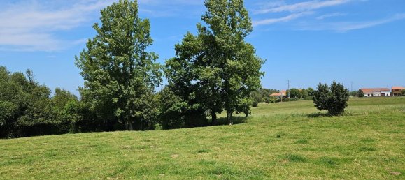 2600m² Land in Asturias, Spain No. 89431 4
