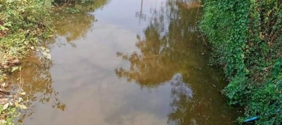  Land in Chiang Mai, Thailand No. 26955 4