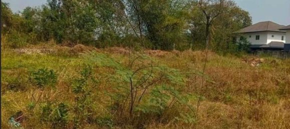  Land in Chiang Mai, Thailand No. 26955 6