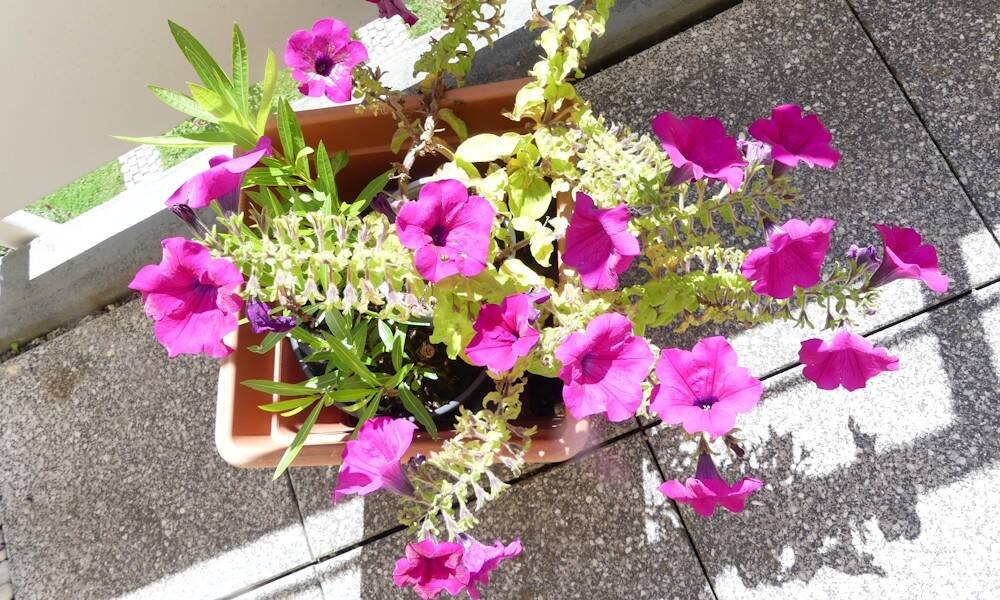 Apartamento de 2 habitaciónes en Schwarzwald-Baar-Kreis, Germany No. 348720