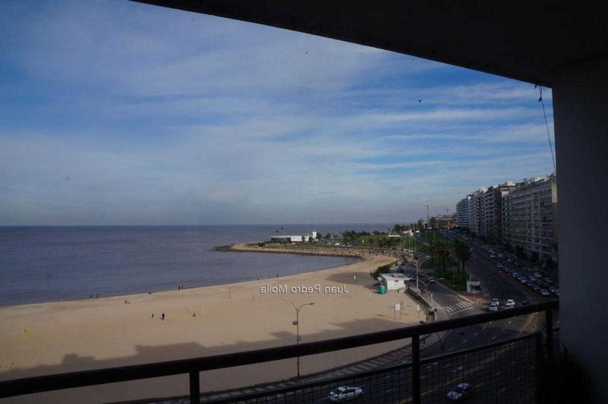 2 Schlafzimmer Wohnung in Montevideo, Uruguay, Nr. 10782