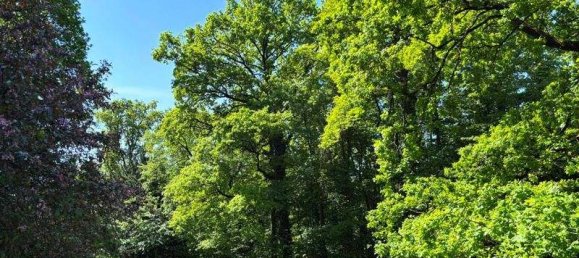 12غرفة فيلا في Linz, Austria رقم 52902 3