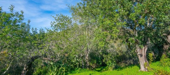 2 bedrooms House in Loule, Portugal No. 18575 6