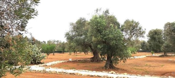 14 غرف نوم منزل في San Vito dei Normanni, Italy رقم 313181 8