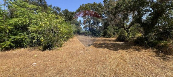 5 chambres Maison à Monopoli, Italy No. 316736 30