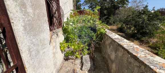 5 chambres Maison à Monopoli, Italy No. 316736 7
