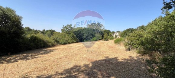 5 chambres Maison à Monopoli, Italy No. 316736 21