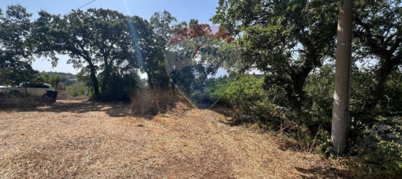 5 chambres Maison à Monopoli, Italy No. 316736 27