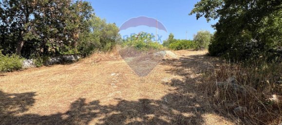 5 chambres Maison à Monopoli, Italy No. 316736 25