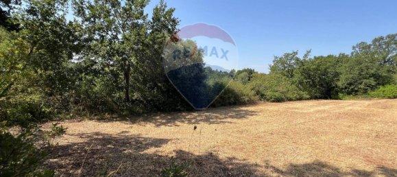 5 chambres Maison à Monopoli, Italy No. 316736 29