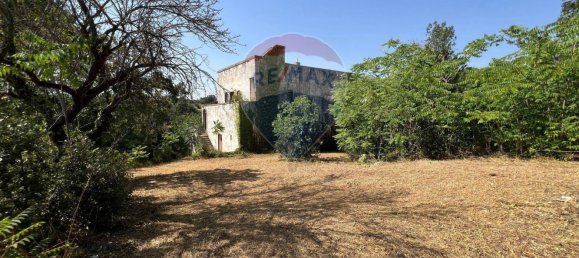 5 chambres Maison à Monopoli, Italy No. 316736 4