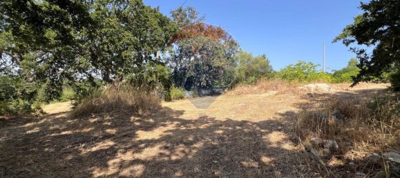 5 chambres Maison à Monopoli, Italy No. 316736 24