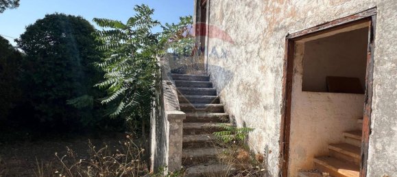 5 chambres Maison à Monopoli, Italy No. 316736 5