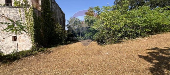 5 chambres Maison à Monopoli, Italy No. 316736 6